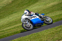 Vintage-motorcycle-club;eventdigitalimages;mallory-park;mallory-park-trackday-photographs;no-limits-trackdays;peter-wileman-photography;trackday-digital-images;trackday-photos;vmcc-festival-1000-bikes-photographs
